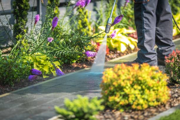 Best Parking Lot and Garage Cleaning  in Seguin, TX